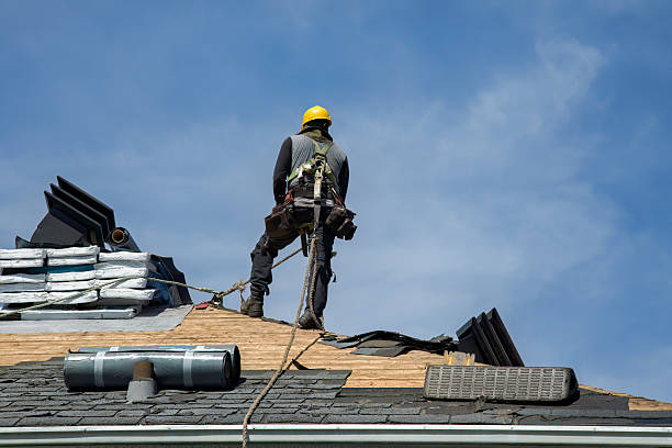 Professional Roof Repair technician working in Dunkirk, NY